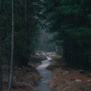 photo-1421867246451-d043149caab1