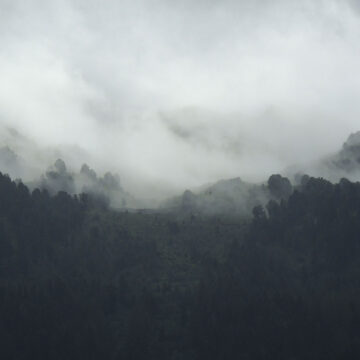 photo-1470399542183-e6245d78c479