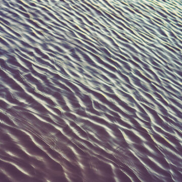 photo-1471712235365-95a5908e4036