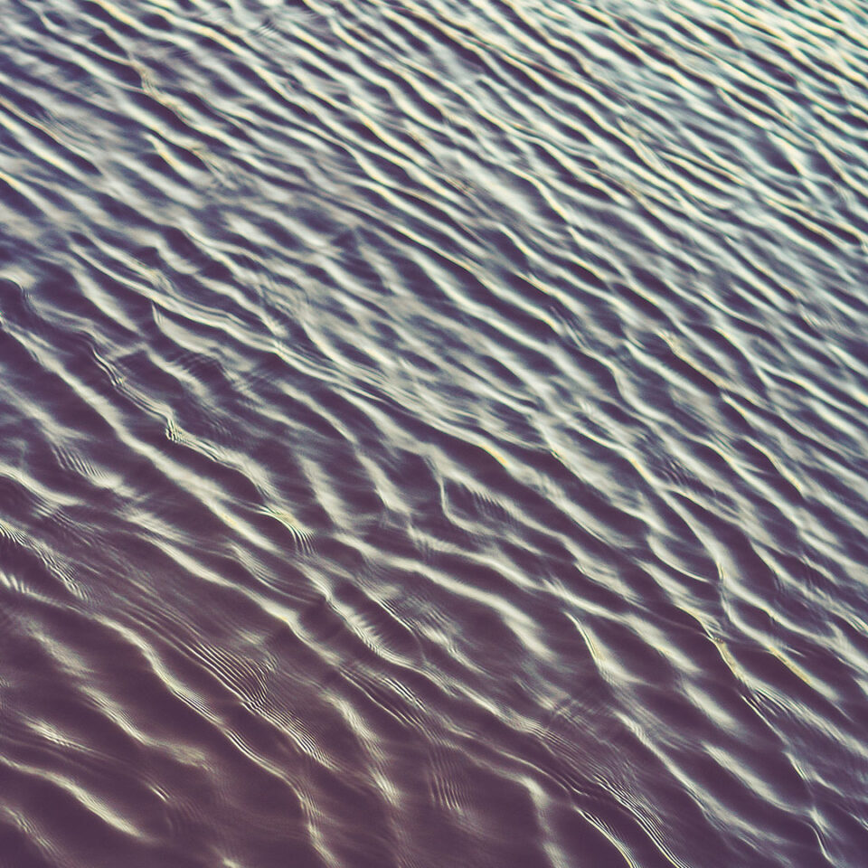 photo-1471712235365-95a5908e4036