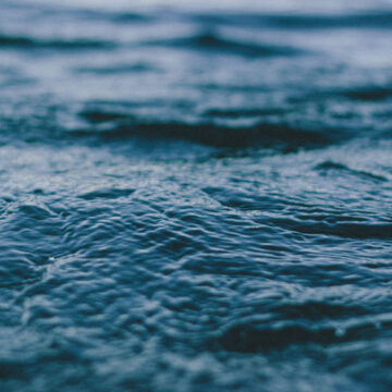 rqZBrx1WRsCtkqGSVBK6_IMG_0063