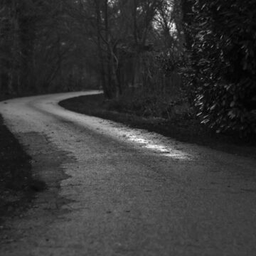 wkjFpgTwSPnxksbAxnkA_IMG_5192